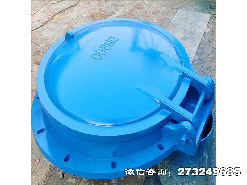 宿州單向水流控制拍門