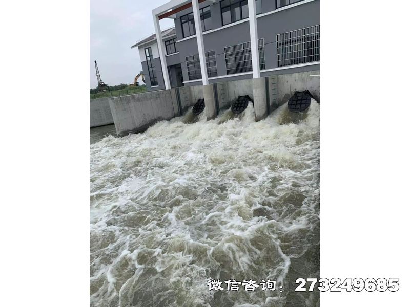 防潮堤潮門(mén)拍門(mén)