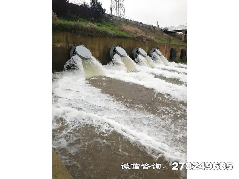排水管網(wǎng)末端潮門(mén)拍門(mén)
