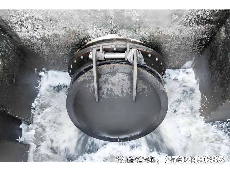 河道排水潮門(mén)拍門(mén)