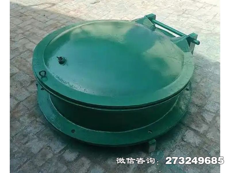 浙江鑄鐵圓型一體化泵站拍門